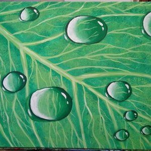 Raindrops on Leaf